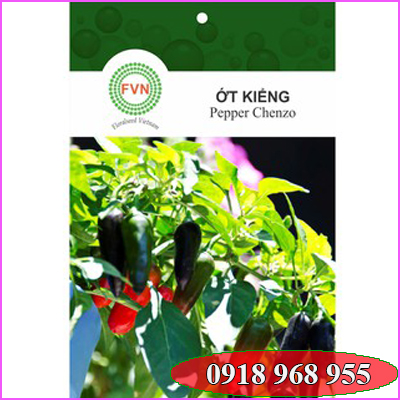 In túi hạt giống| baobigiaphat.vn